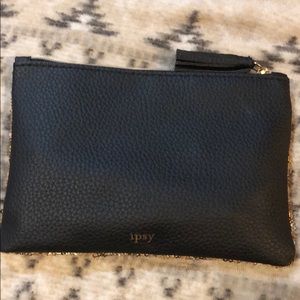 Ipsy cosmetics bag + Pretty vulgar liquid lipstick